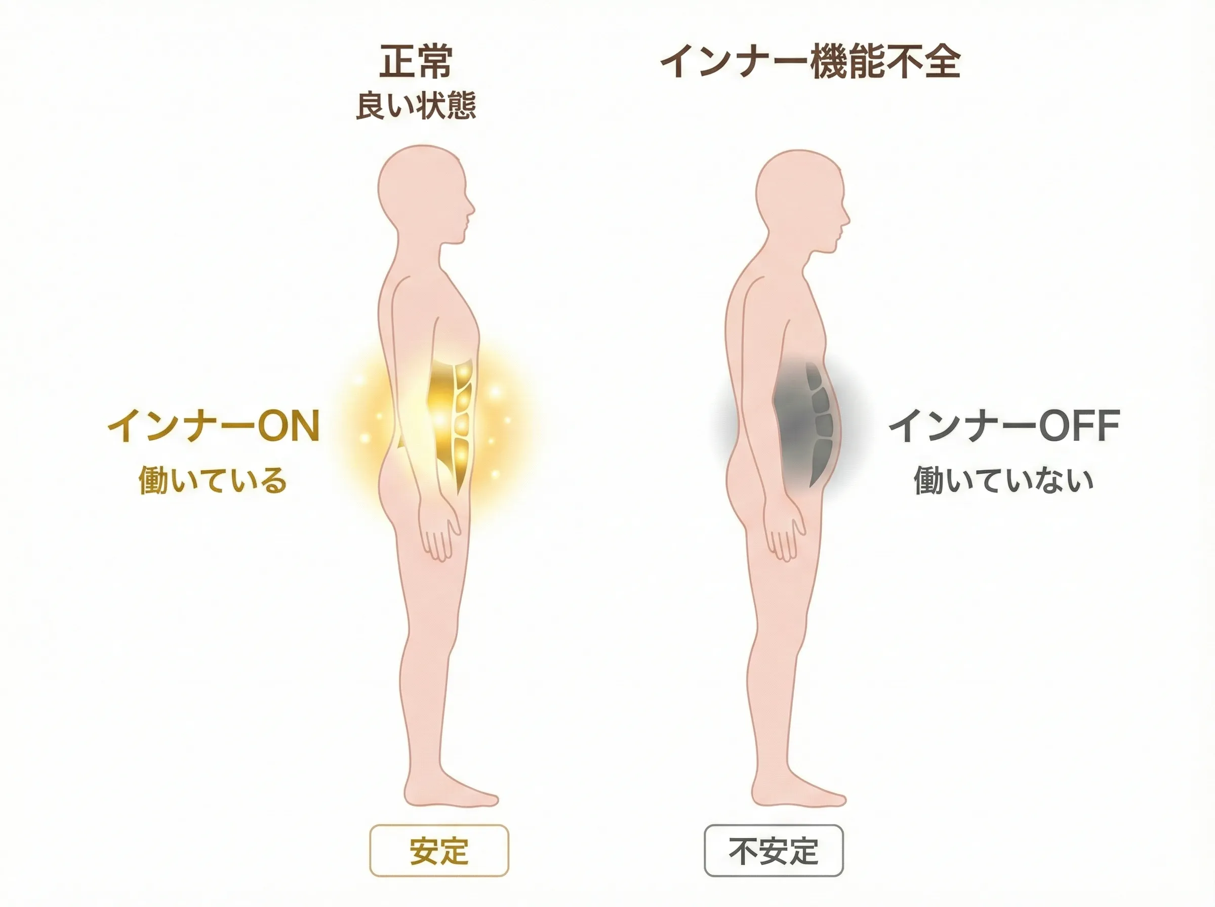 アウター（動かす筋）とインナー（支える筋）の役割比較：アウターは大きな力を発揮する表面の筋肉、インナーは関節を安定させる深層の筋肉