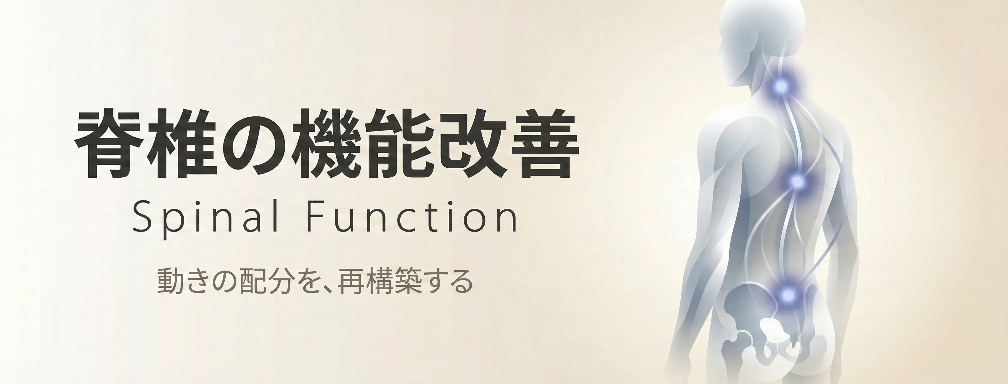 脊椎機能改善 - GIFTメソッドの3つのアプローチのひとつ。上部頚椎・胸椎・腰仙移行部から関節運動の配分を再構築するアプローチ