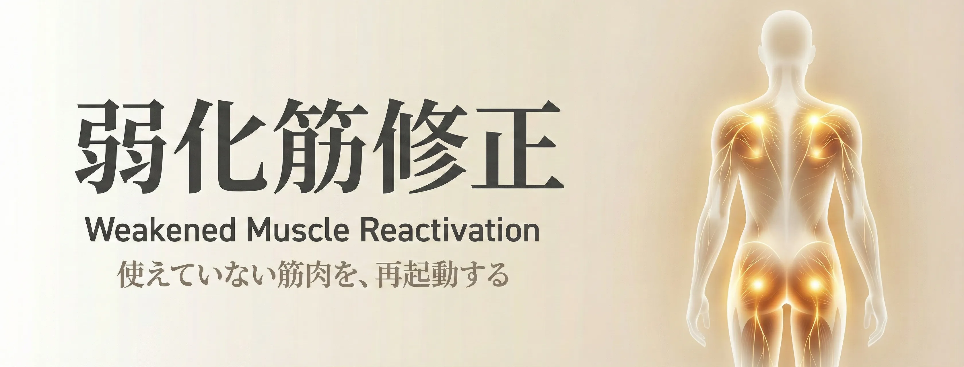 弱化筋修正 - GIFTメソッドの中核アプローチ。「使えていない筋肉」を再起動し、強い圧に頼らない身体の再教育を行う