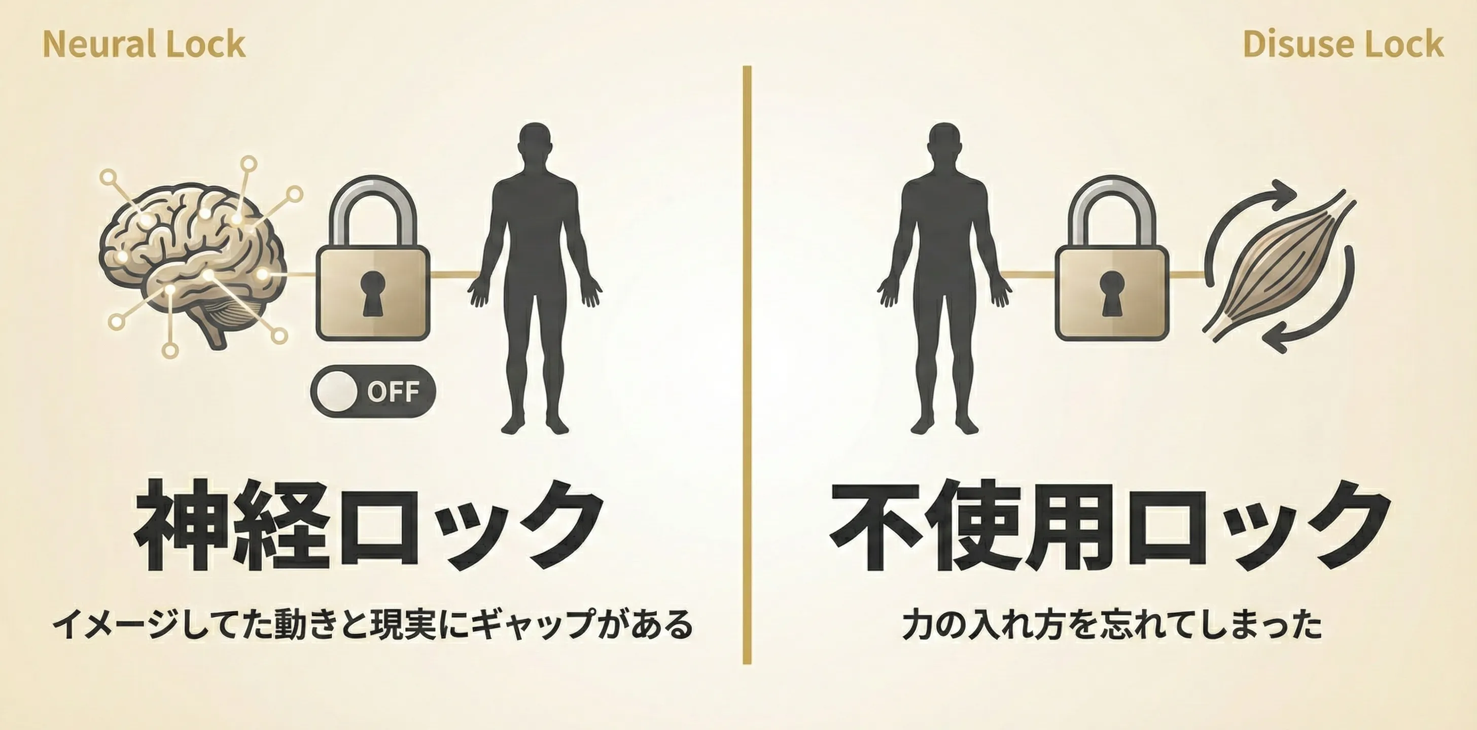 Neural Lock & Disuse Lock の概念図