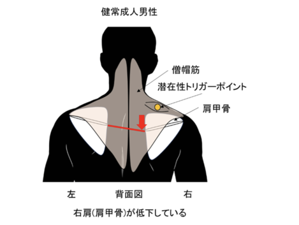 東亜大学と株式会社giversとの共同研究論文が国際学術誌「PLOS One」に掲載されました
