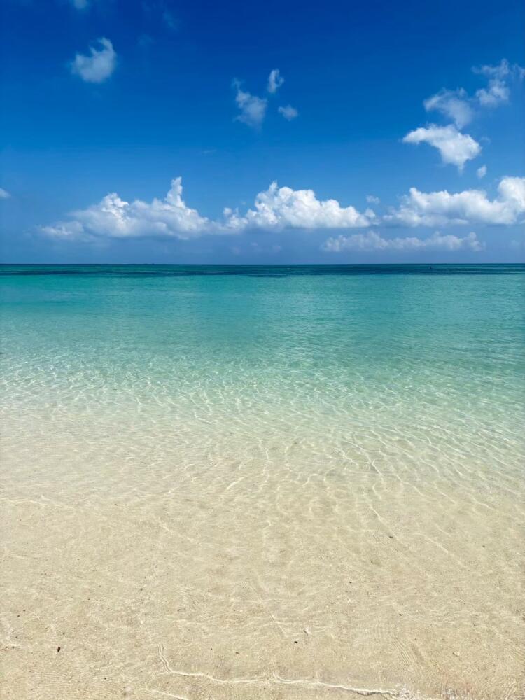 ハネムーン休暇